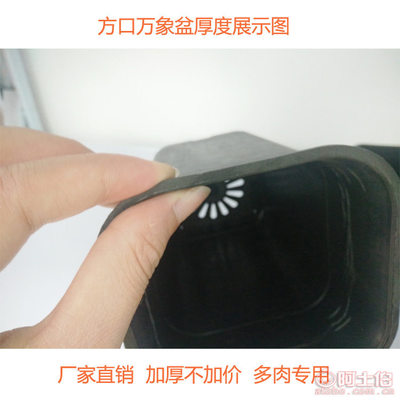 豫超厂家批发多肉黑方万象盆 专为多肉与根球类植物设计的磨砂高腰加厚盆